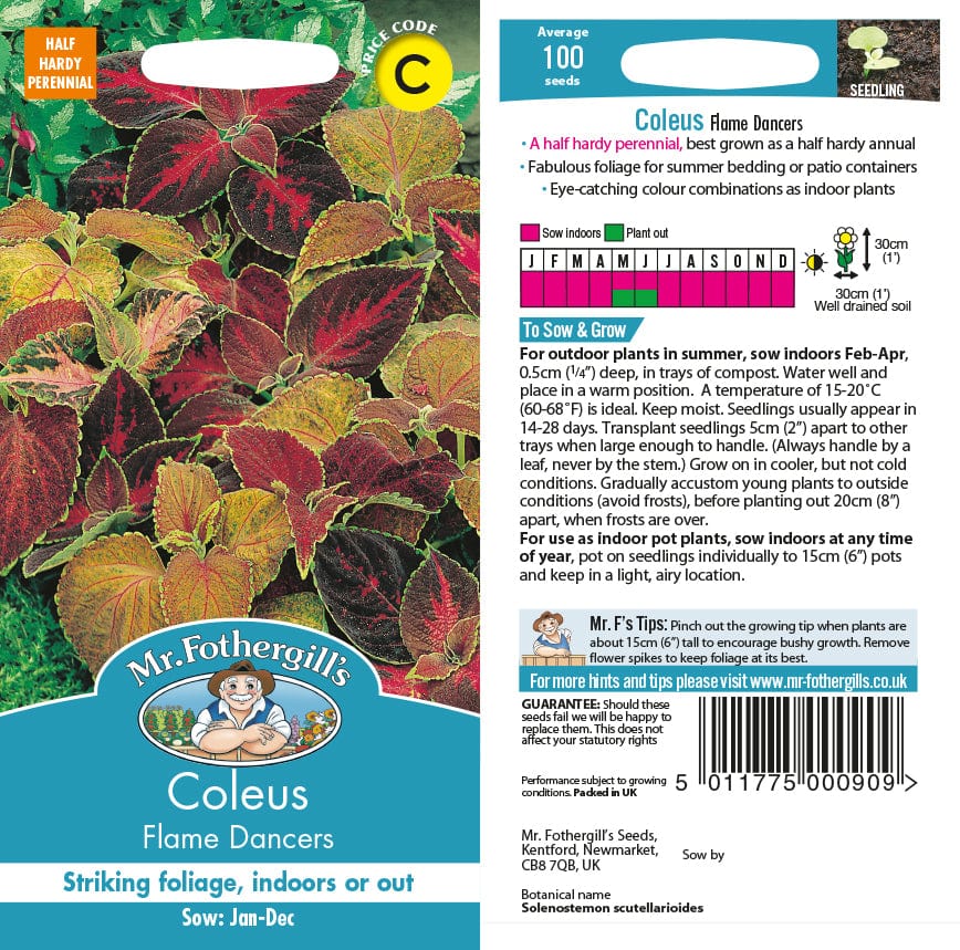 Coleus Flame Dancers Seeds