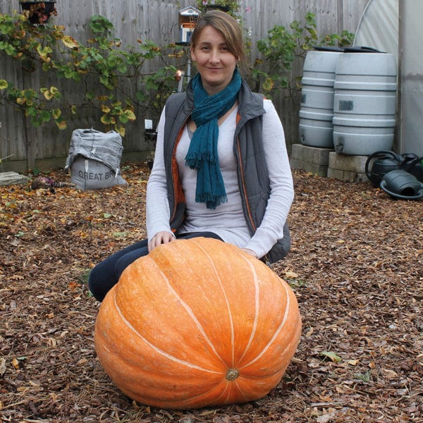 Pumpkin Atlantic Giant Seeds