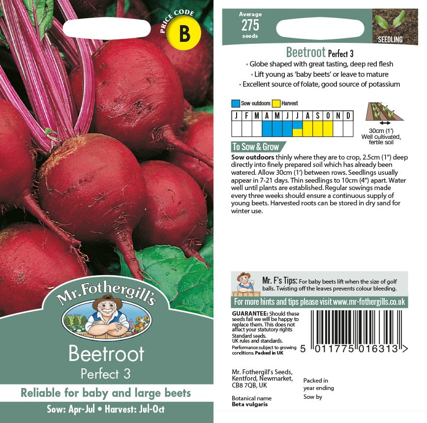 Beetroot Perfect 3 Seeds