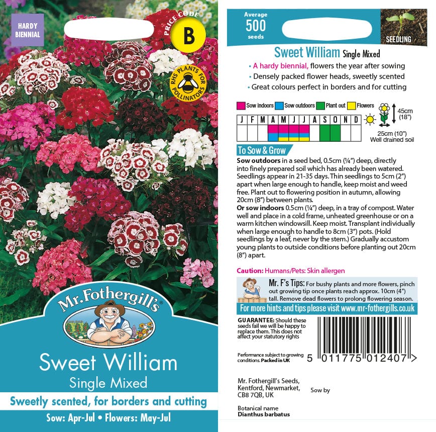 Sweet William Single Mixed Seeds