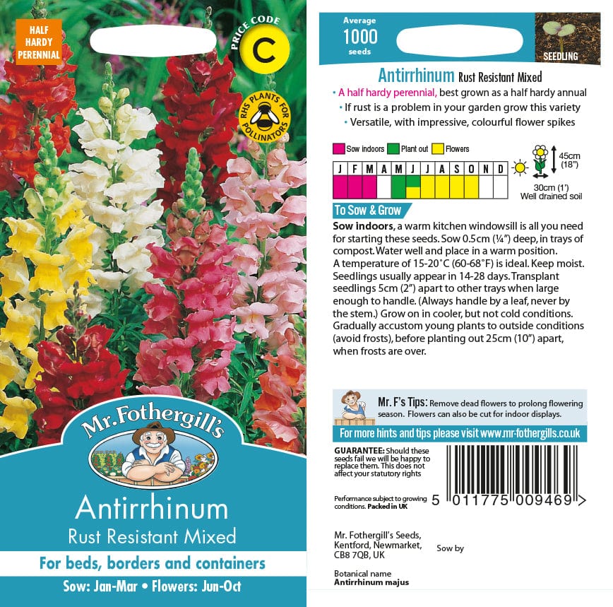 Antirrhinum Rust Resistant Mixed Seeds