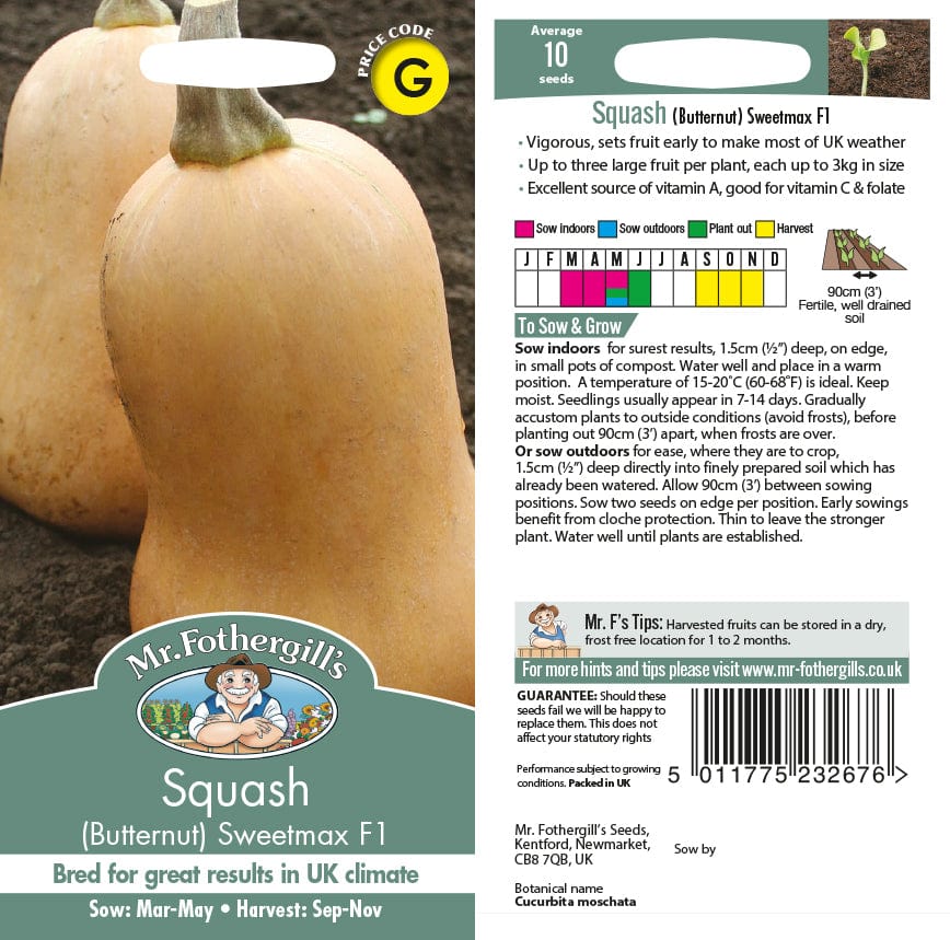 Squash (Butternut) Sweetmax F1 Seeds