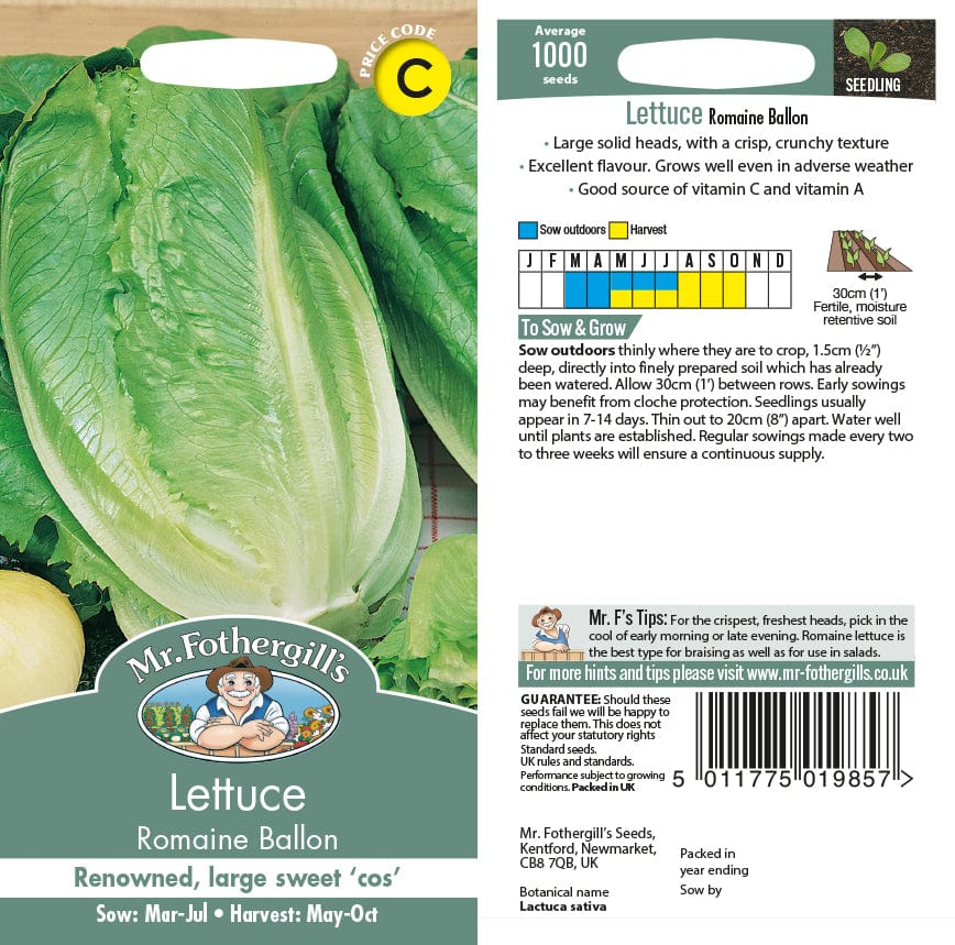 Lettuce Romaine Ballon Seeds