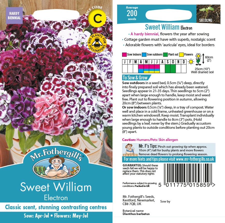 Sweet William Electron Seeds