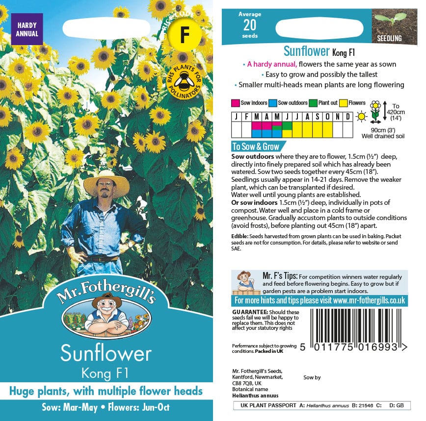 Sunflower Kong F1 Seeds from Mr Fothergill's Seeds and Plants | USA