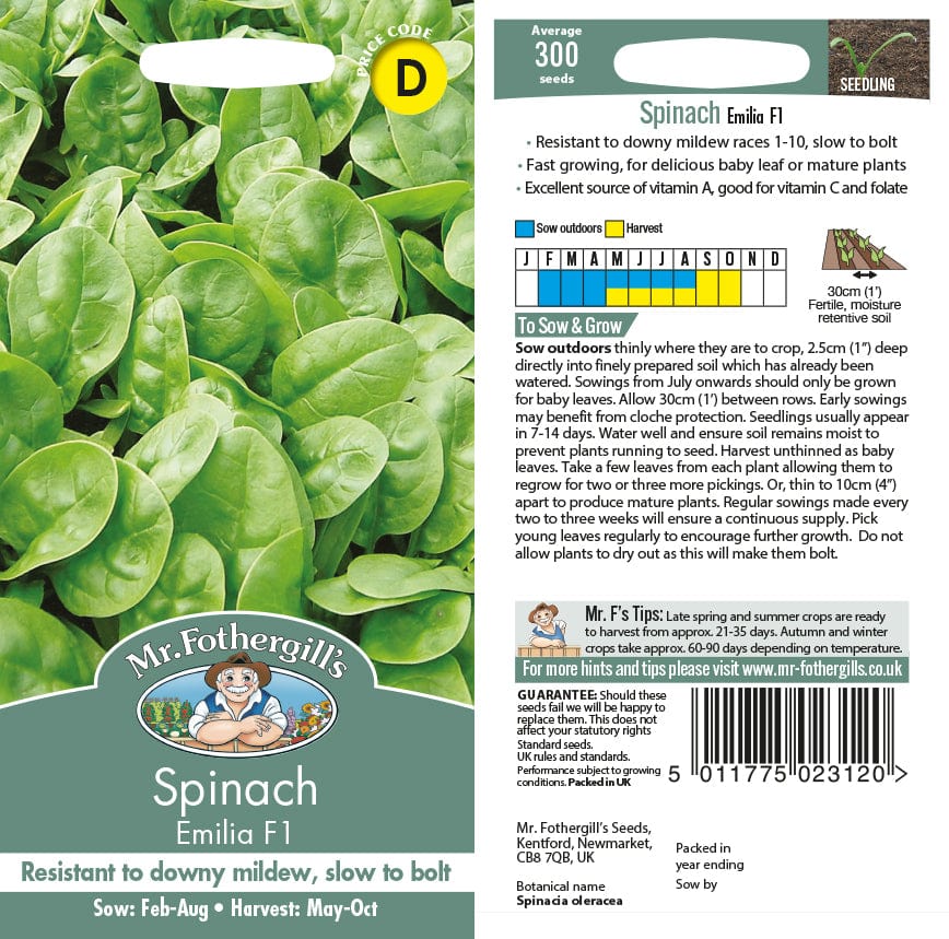 Spinach Emilia F1 Seeds