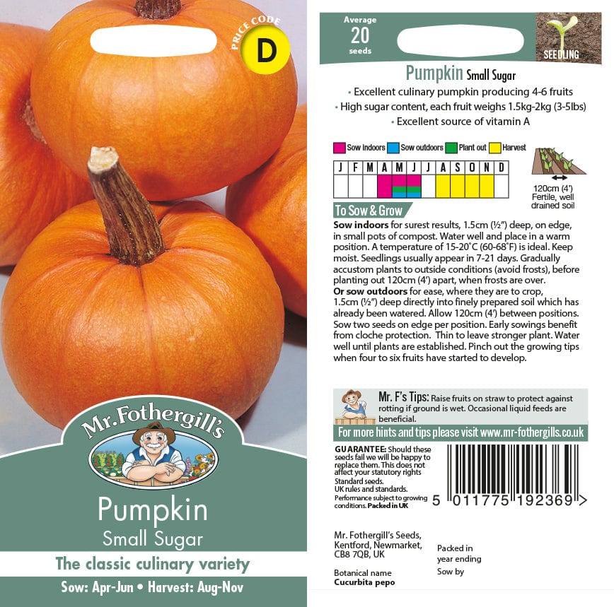 Pumpkin Small Sugar Seeds