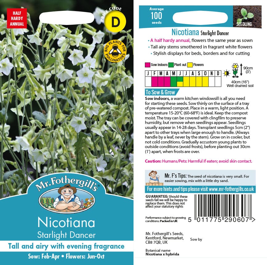 Nicotiana Starlight Dancer Flower Seeds