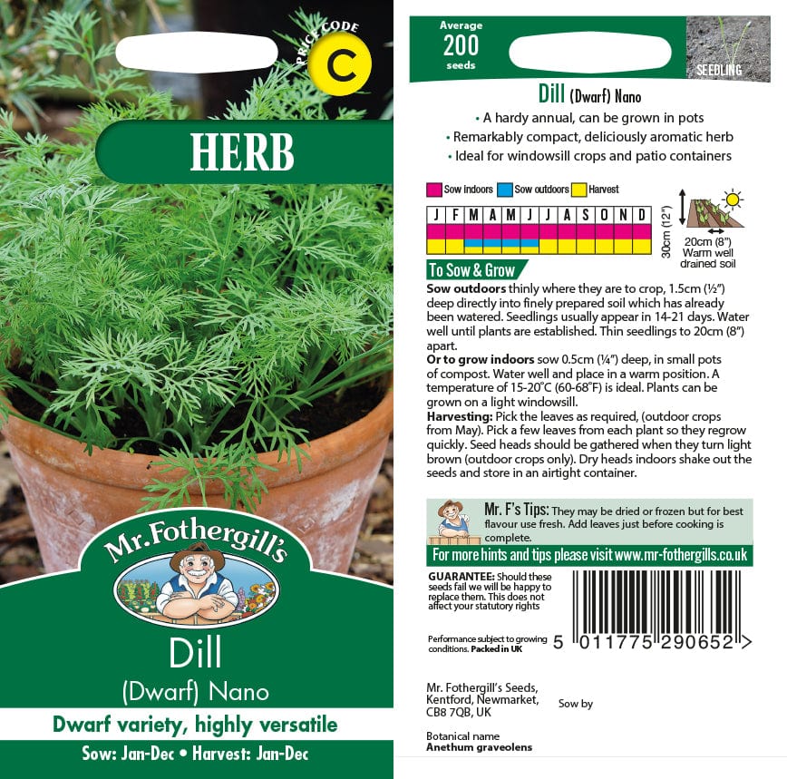 Dill (Dwarf) Nano Herb Seeds