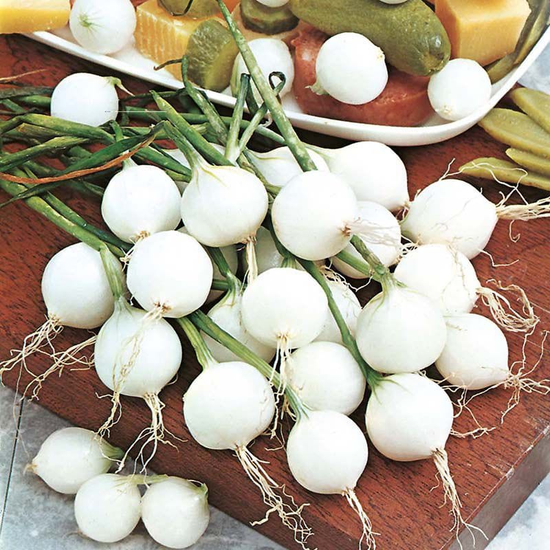 Onion De Paris (Silverskin) Vegetable Seeds