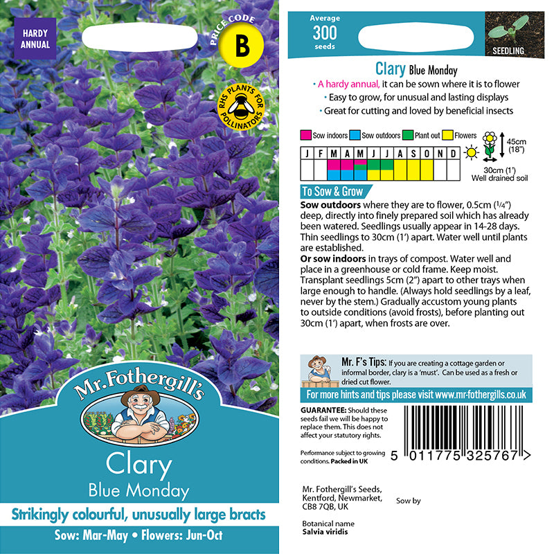 Clary Blue Monday Flower Seeds 