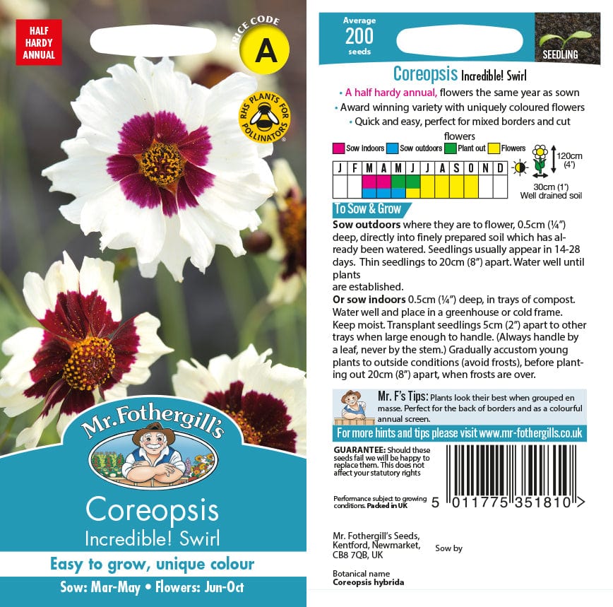 Coreopsis Incredible! Swirl Flower Seeds