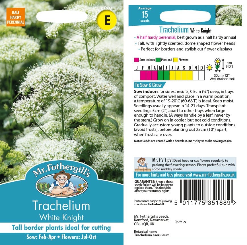 Trachelium White Knight Flower Seeds