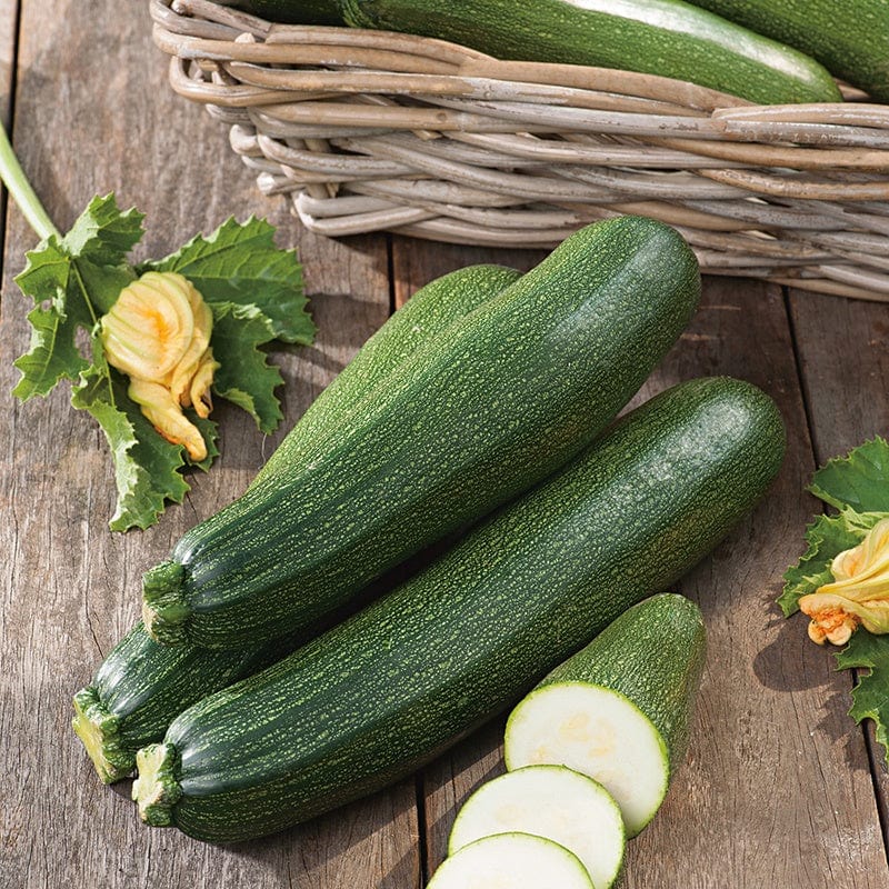 Courgette Blackstar F1 Vegetable Seeds