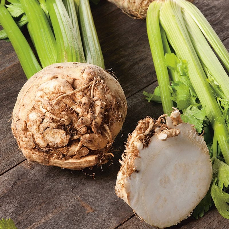 Celeriac Neon F1 Vegetable Seeds