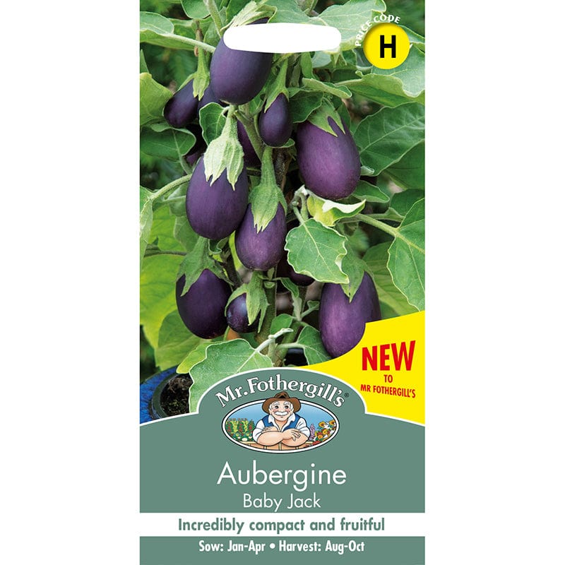 Aubergine Baby Jack Seeds