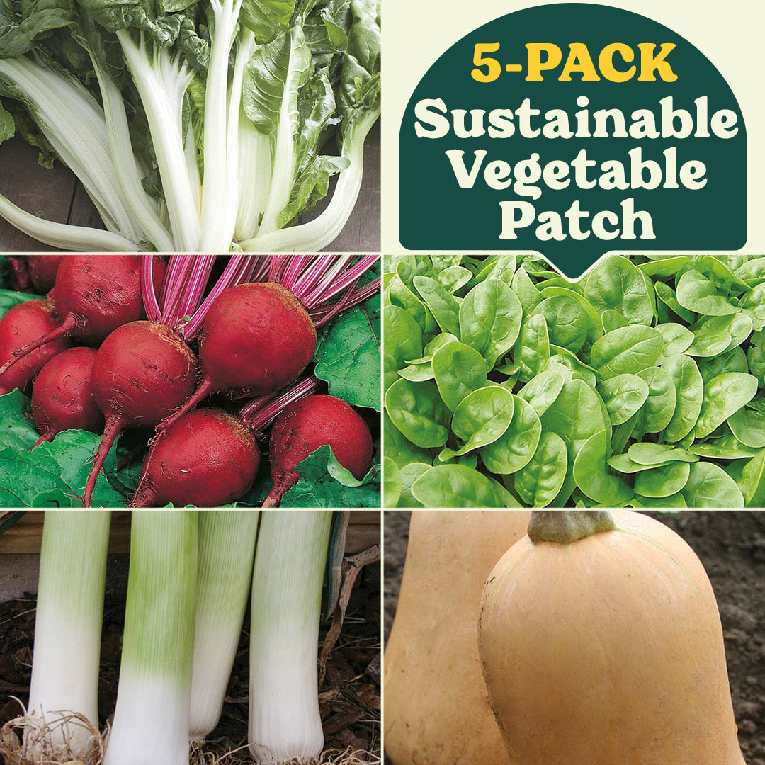 Sustainable Veggie Patch Garden Collection (5-Pack)