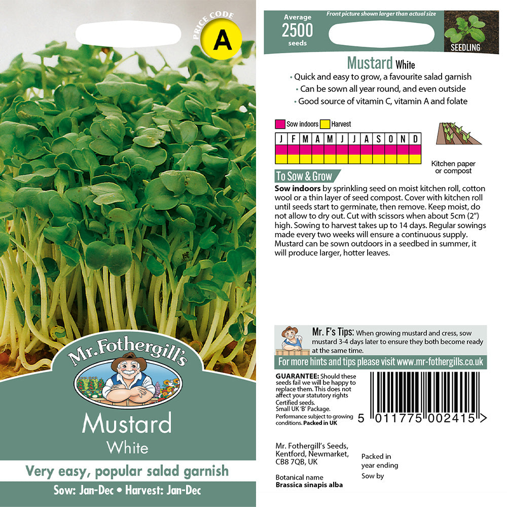 Mustard White Seeds