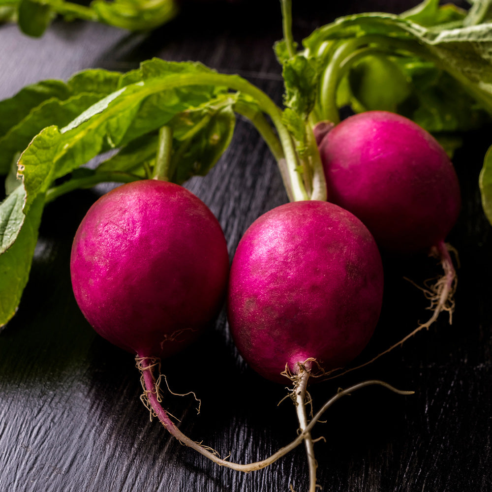 Radish Viola Seeds