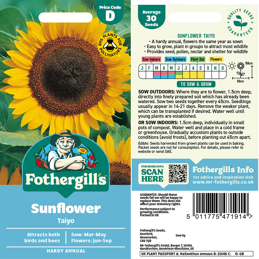 Sunflower Taiyo Seeds