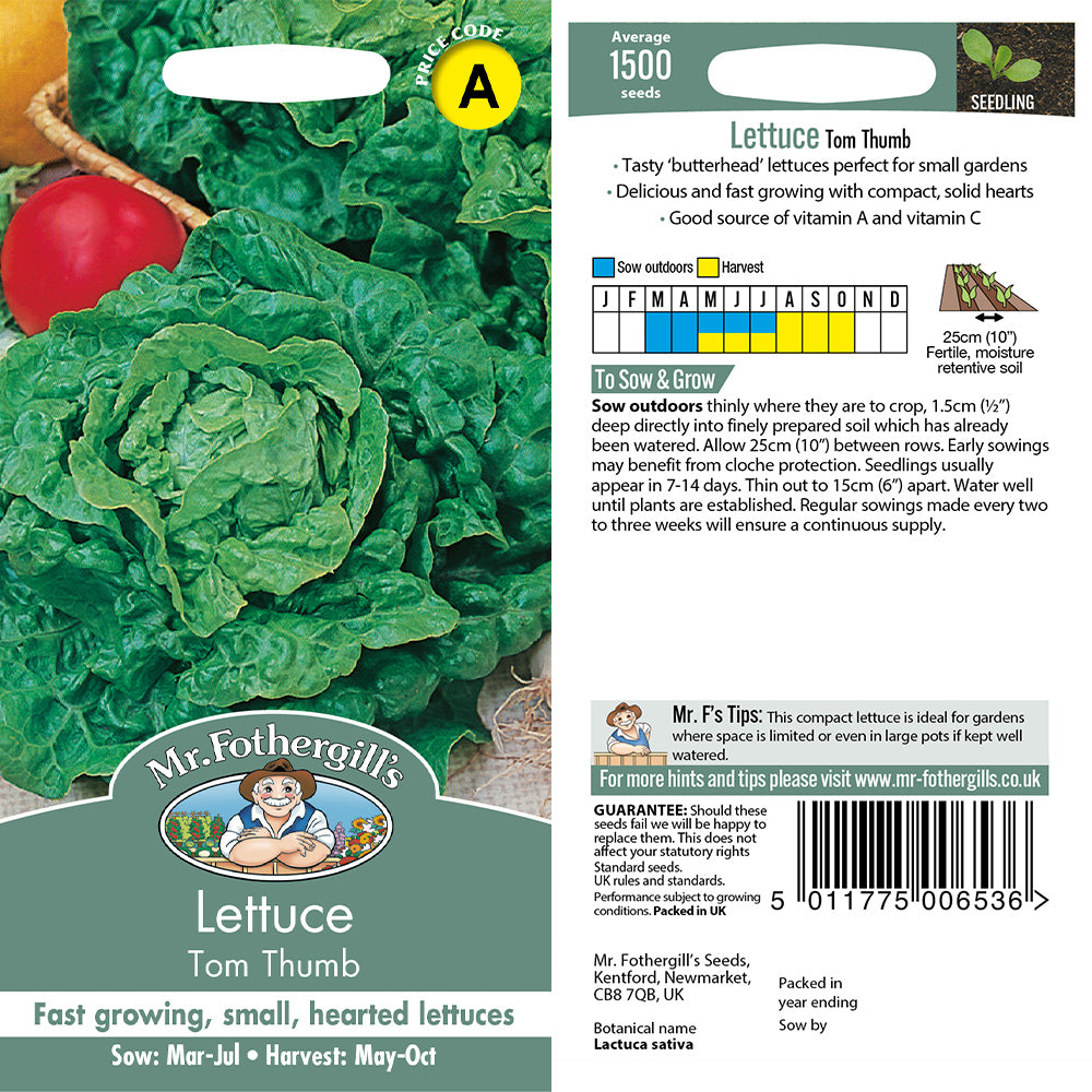 Lettuce Tom Thumb Seeds