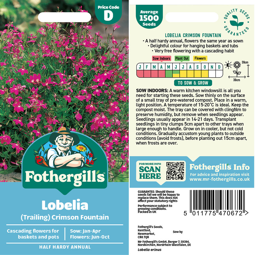 Lobelia Crimson Fountains Seeds