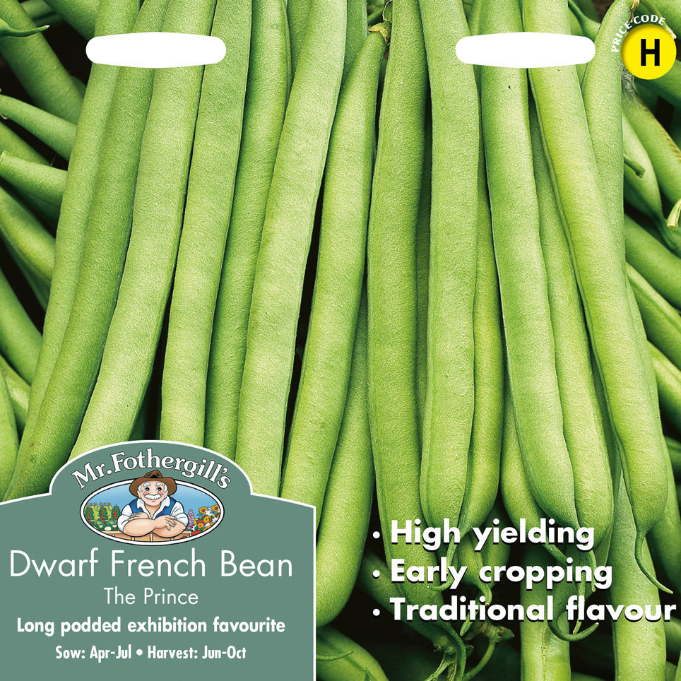 Dwarf French Bean The Prince Seeds