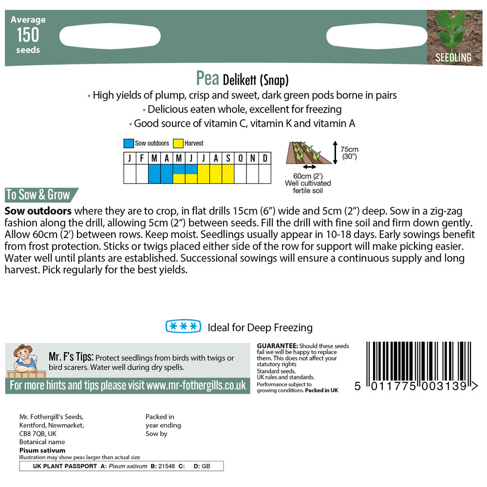 Pea Snap Delikett Seeds