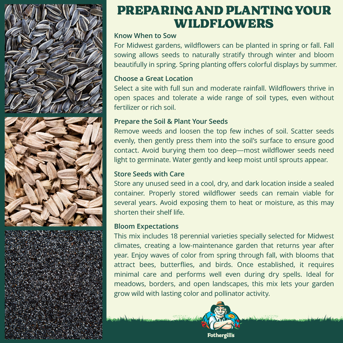 Southern Plains Grown All Perennial Wildflower Seed Mix