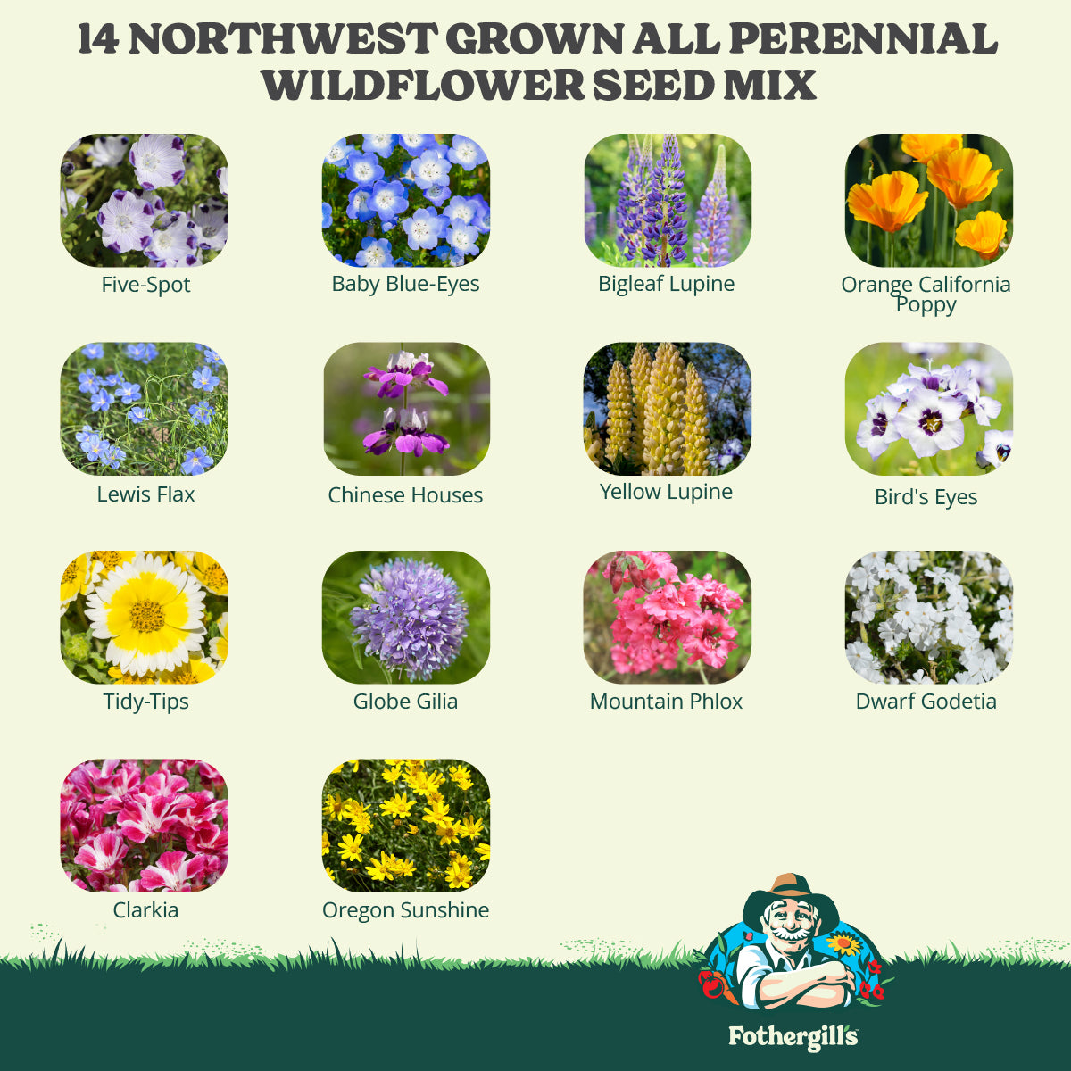 Northwest Grown All Perennial Wildflower Seed Mix
