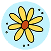 Perennials